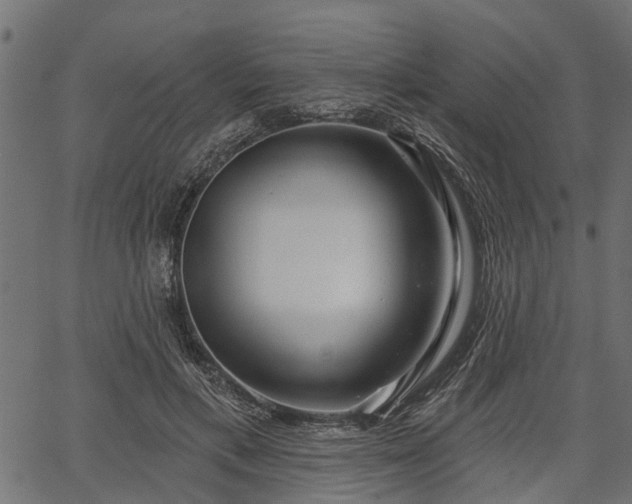 X0000066930597200603311354