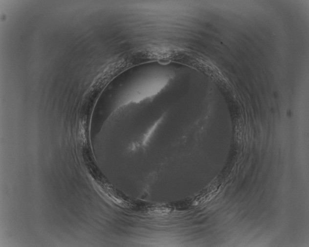 X0000066930598200603311354