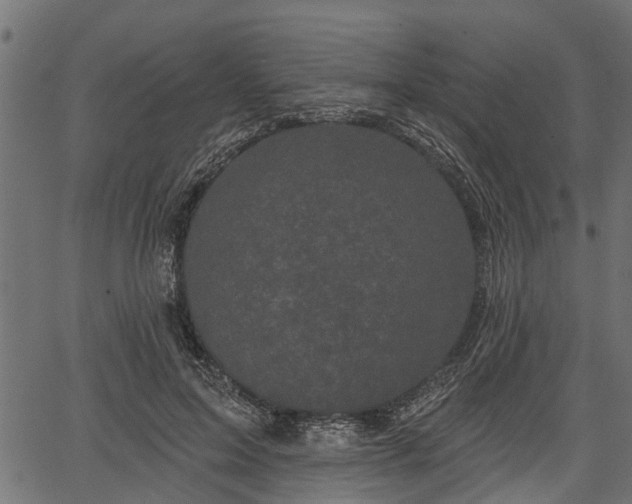 X0000066930599200603311354