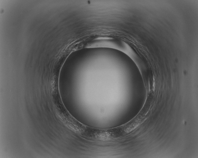 X0000066930600200603311354