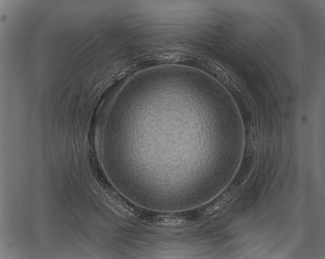 X0000066930601200603311354