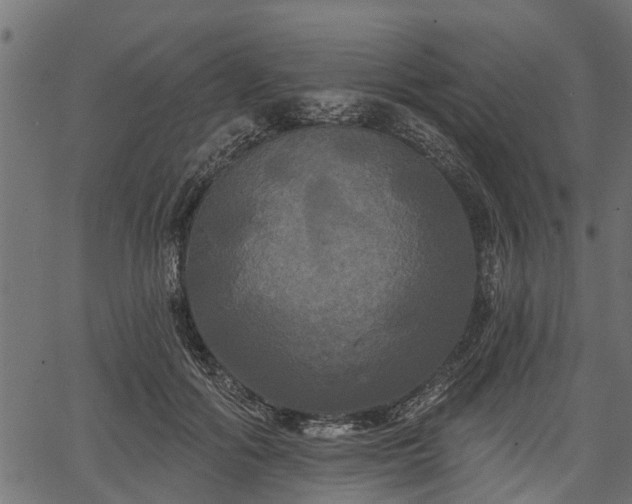 X0000066930602200603311354