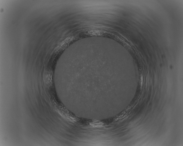 X0000066930603200603311354