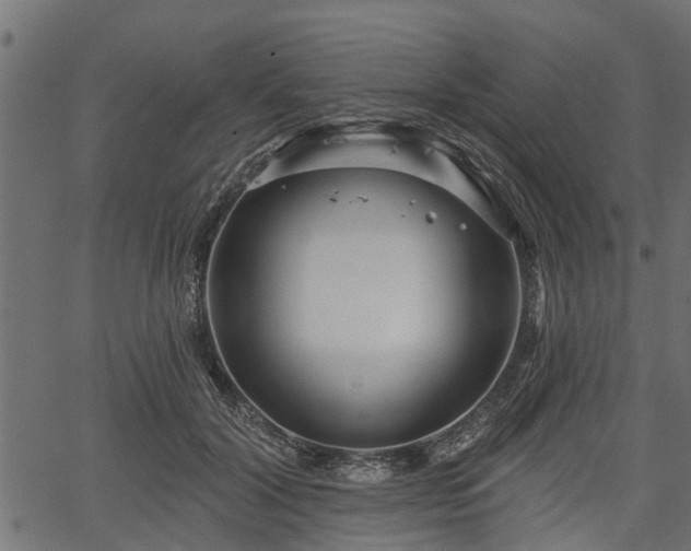 X0000066930604200603311354