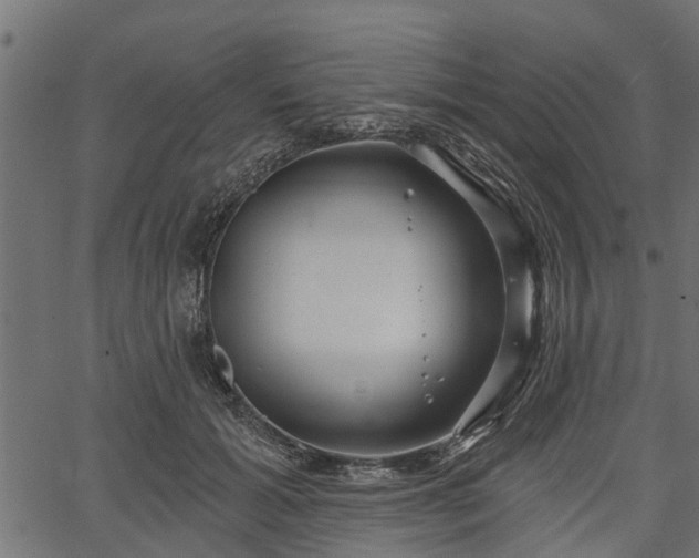 X0000066930605200603311354