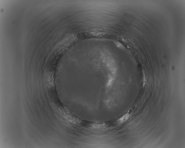 X0000066930606200603311354