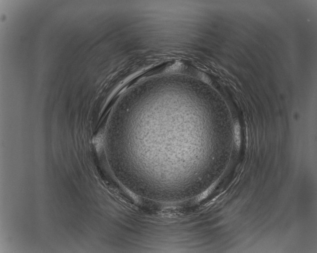 X0000066930608200603311354