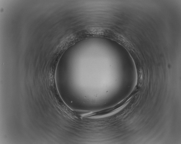 X0000066930609200603311354