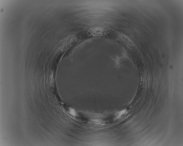 X0000066930610200603311354