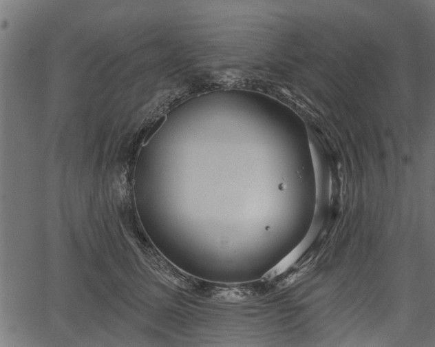 X0000066930611200603311354