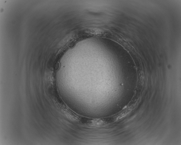 X0000066930612200603311353