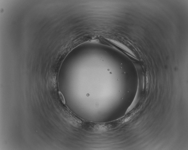 X0000066930613200603311353