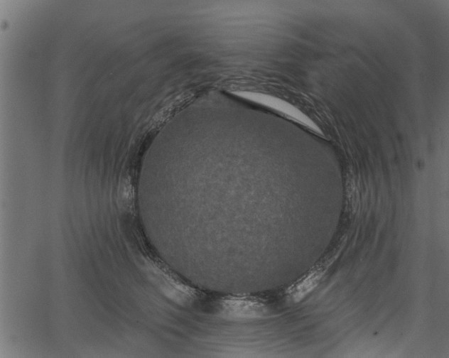 X0000066930614200603311353