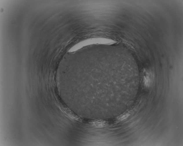 X0000066930615200603311353