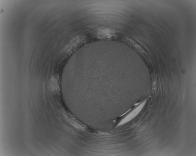 X0000066930616200603311353