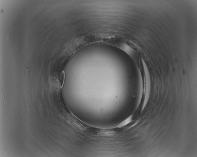 X0000066930617200603311353