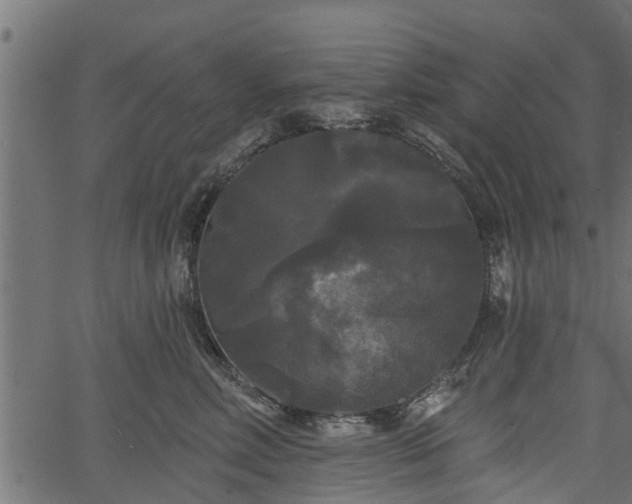 X0000066930618200603311353