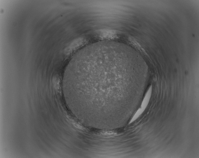 X0000066930619200603311353