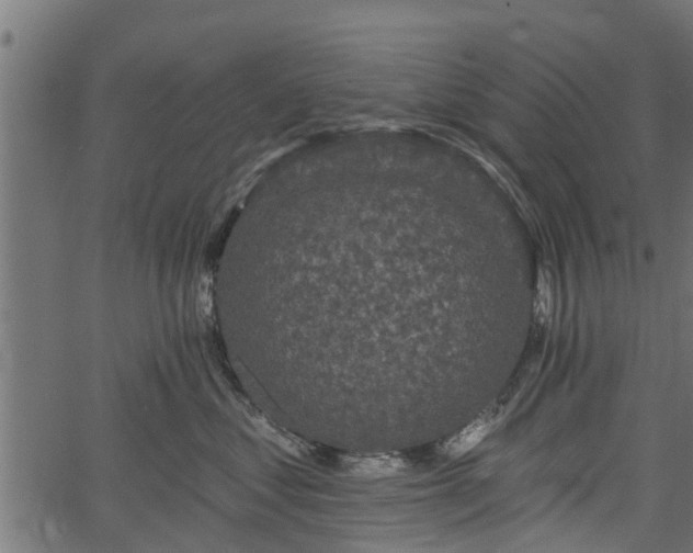 X0000066930621200603311353