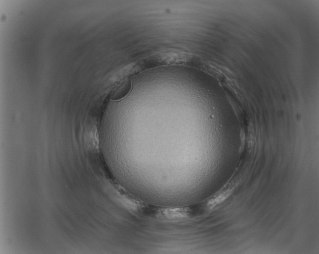 X0000066930622200603311353