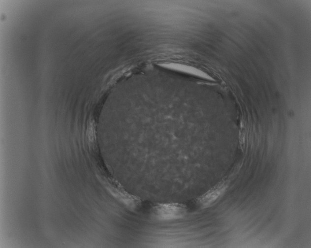 X0000066930623200603311353