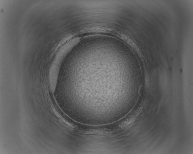 X0000066930625200603311353