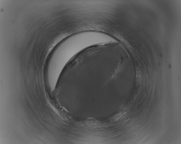 X0000066930626200603311353