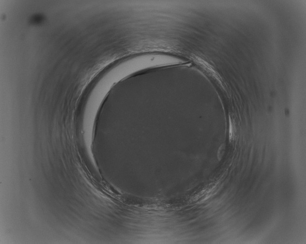 X0000066930627200603311353