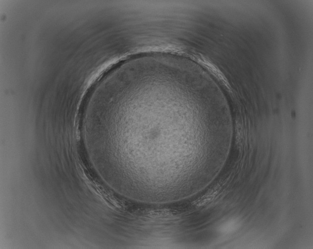 X0000066930628200603311353