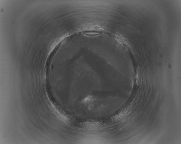 X0000066930630200603311353