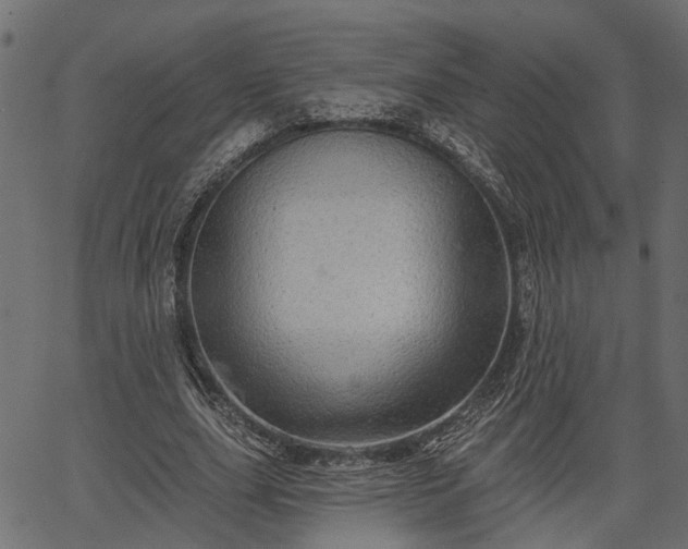 X0000066930631200603311353