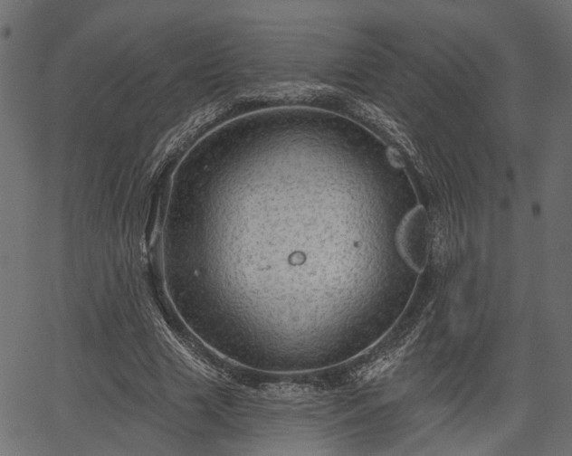 X0000066930633200603311353