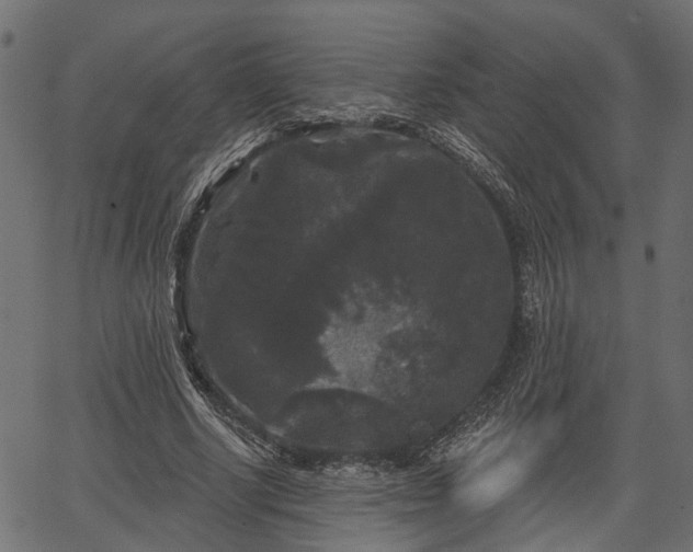 X0000066930634200603311353