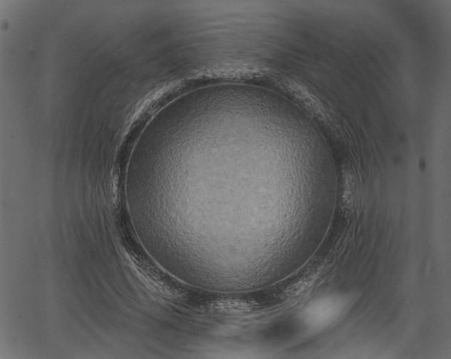 X0000066930636200603311353