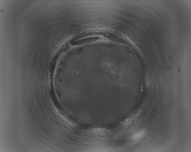 X0000066930637200603311353