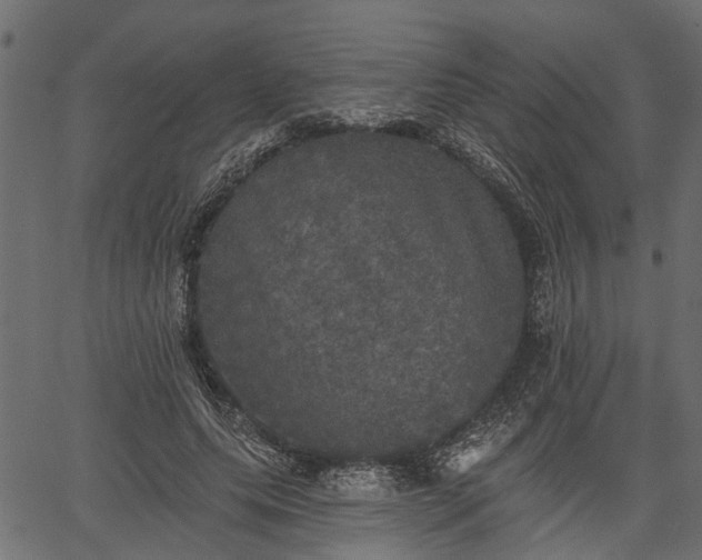 X0000066930639200603311353