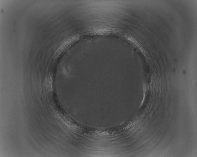 X0000066930640200603311353