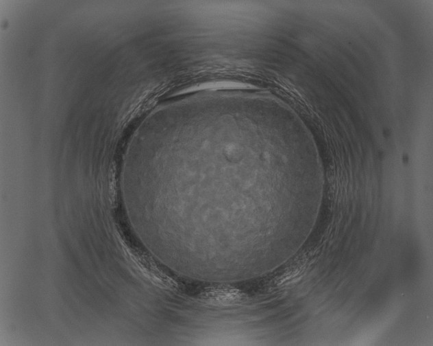 X0000066930642200603311353