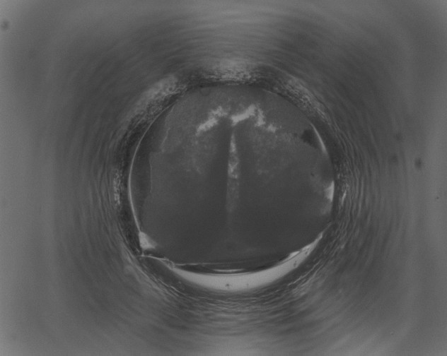 X0000066930643200603311353