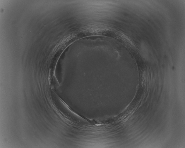 X0000066930644200603311353