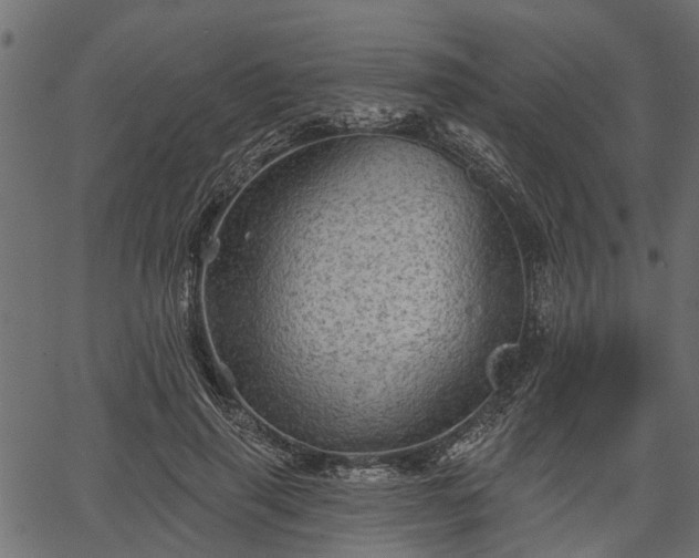 X0000066930645200603311353