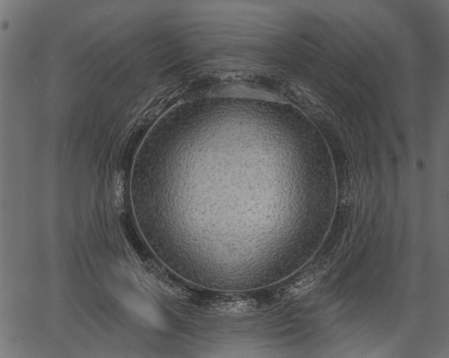 X0000066930646200603311353