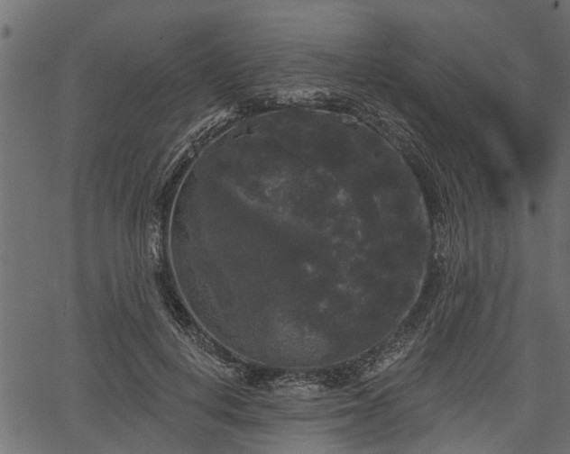 X0000066930648200603311353