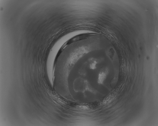 X0000066930649200603311353