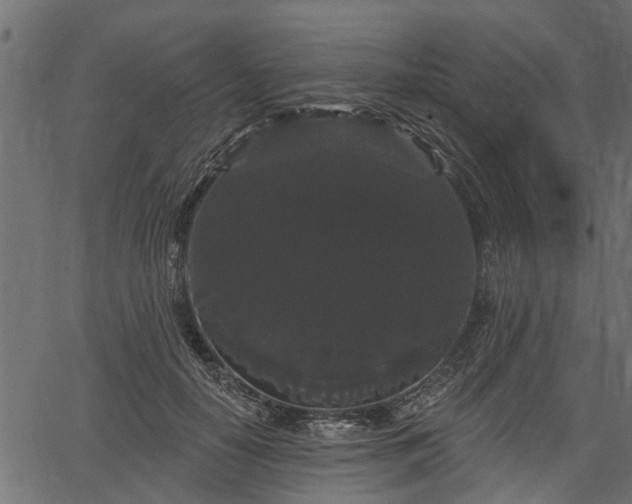 X0000066930650200603311353