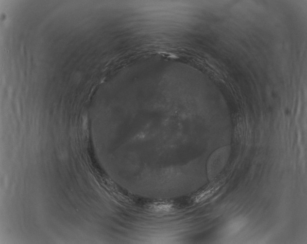 X0000066930651200603311353