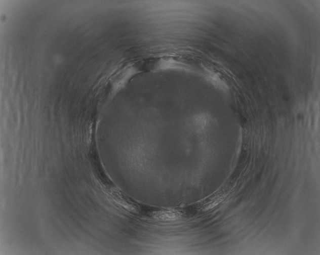 X0000066930652200603311353