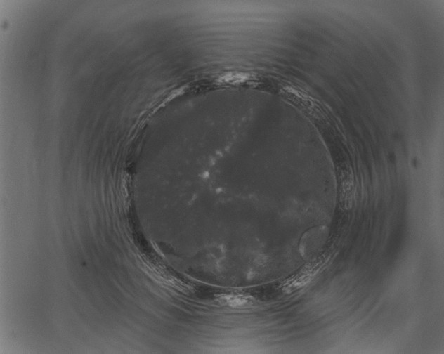 X0000066930654200603311353