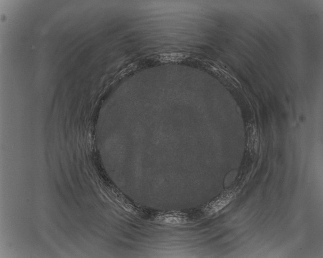 X0000066930655200603311353