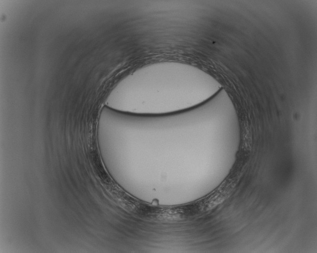 X0000066930656200603311353